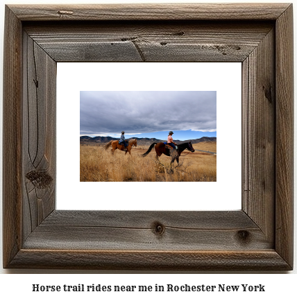 horse trail rides near me in Rochester, New York